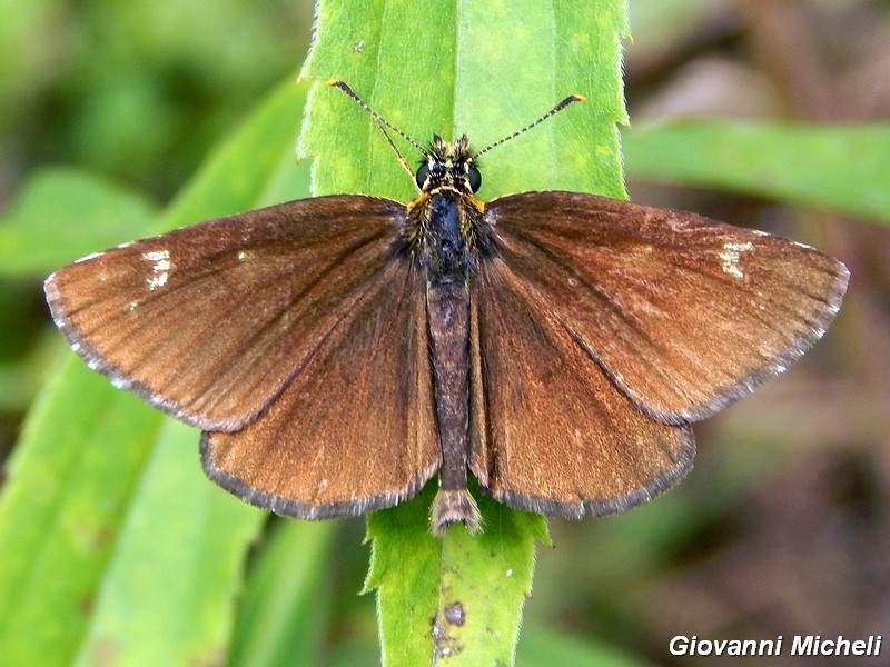 Parco del ticino : incontri del 23/8/14